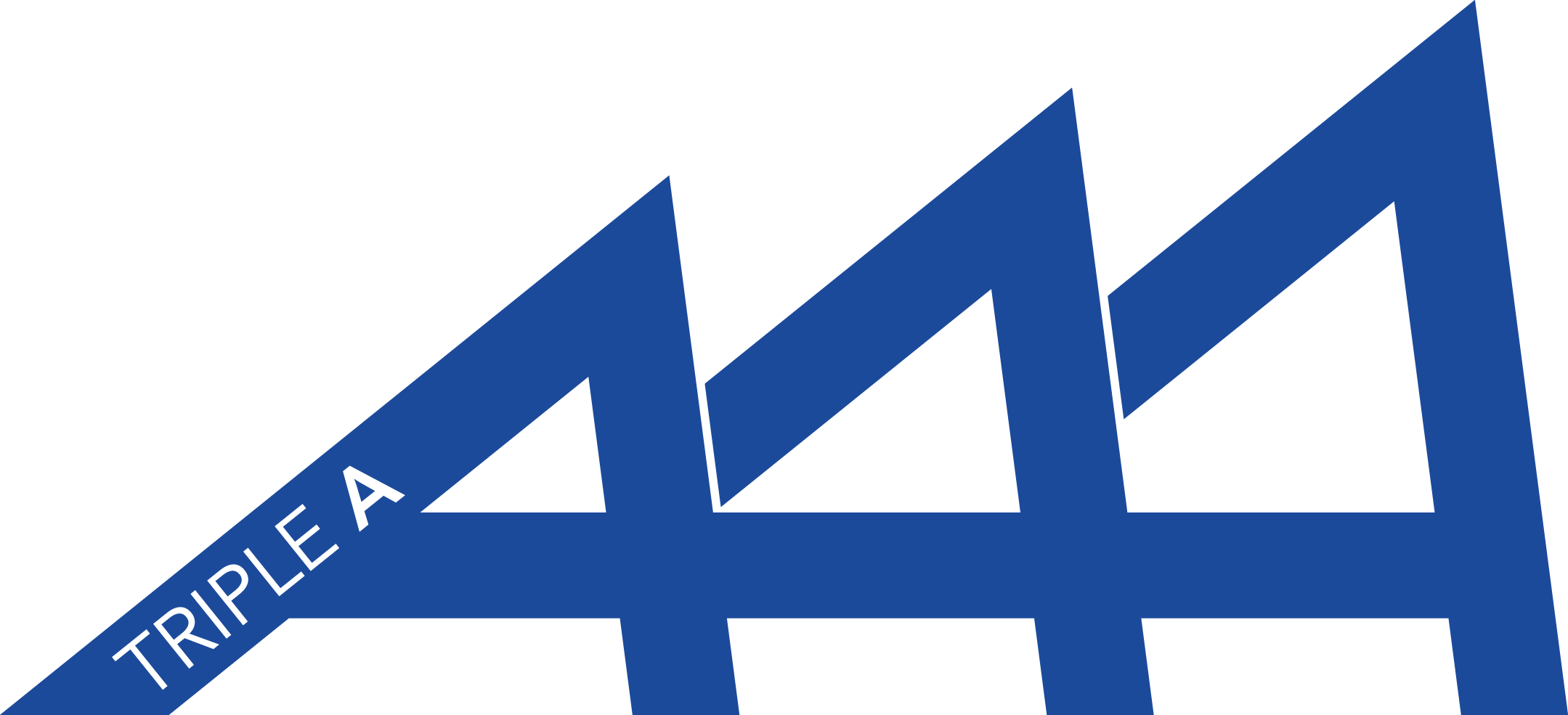 Association des Actionnaires Actifs
